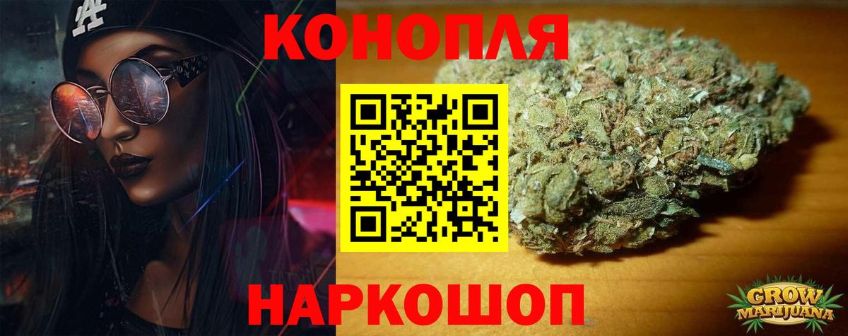 МАРИХУАНА сатива Нововоронеж